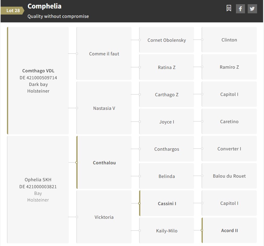 Uphelia SKH alias Comphelia_EN