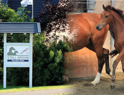 Weaners 2026 – The Best Foundation for a Bright Future!